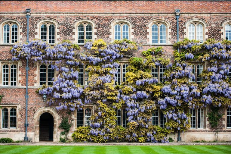 Photography guided tour of Cambridge