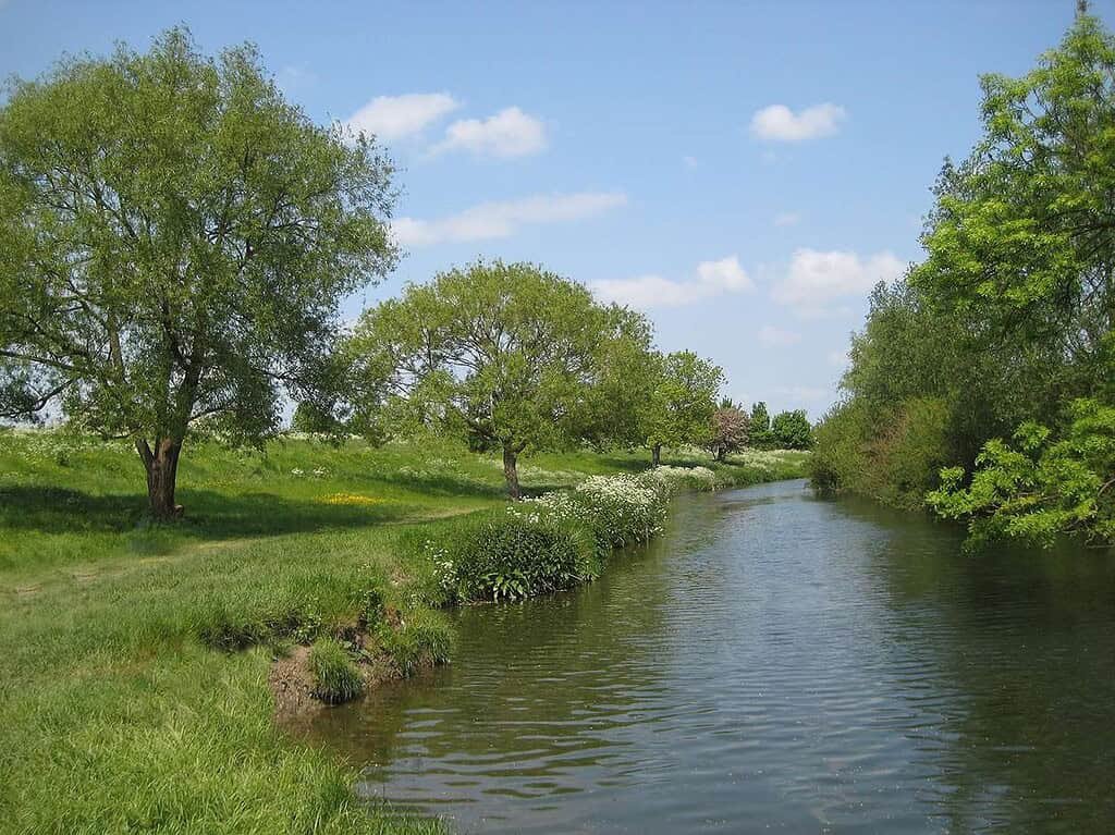 Tranquil river in Cambridge with lush greenery and blue sky, perfect for guided tours and scenic walks.