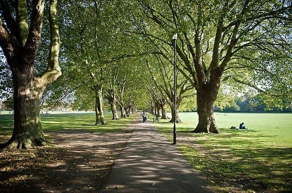 what-to-do-in-cambridge-for-a-day