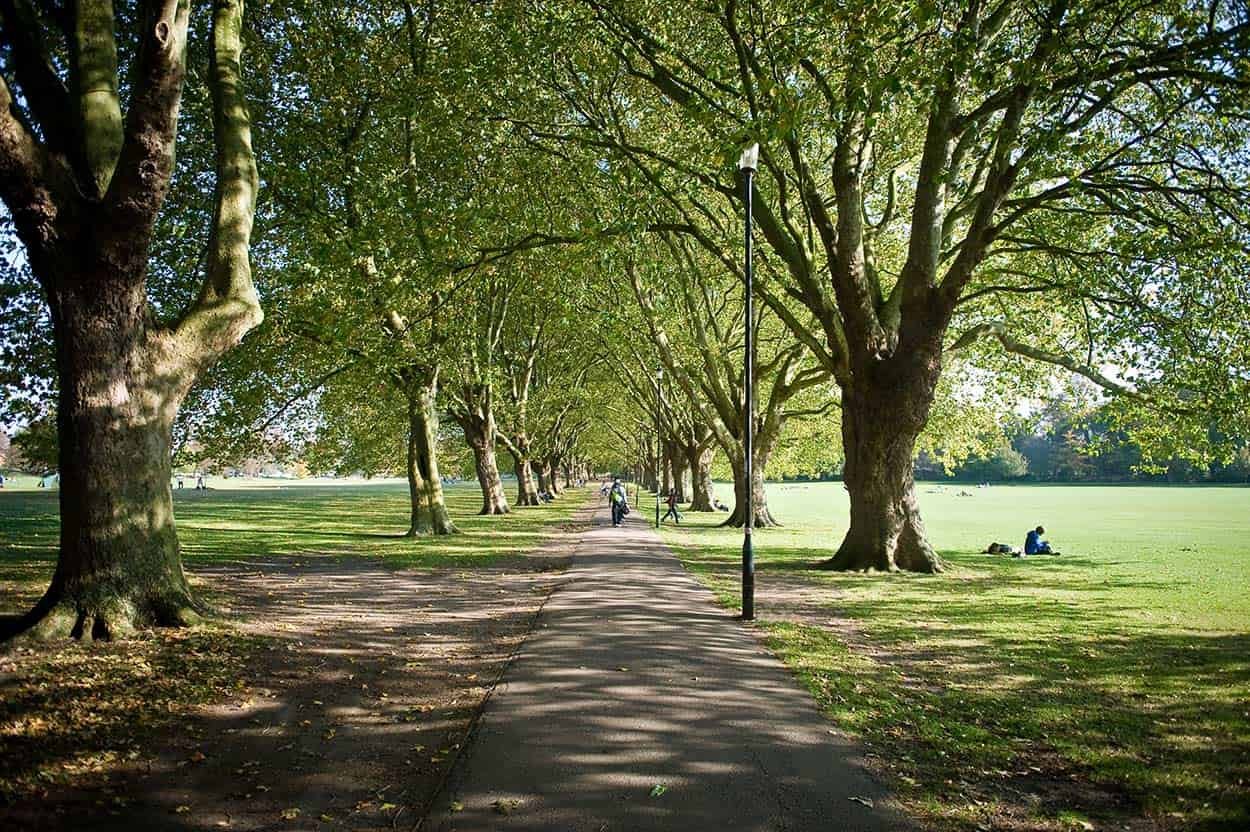 what-to-do-in-cambridge-for-a-day