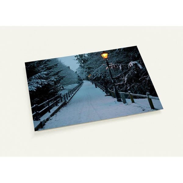 The Avenue in Cambridge covered in snow