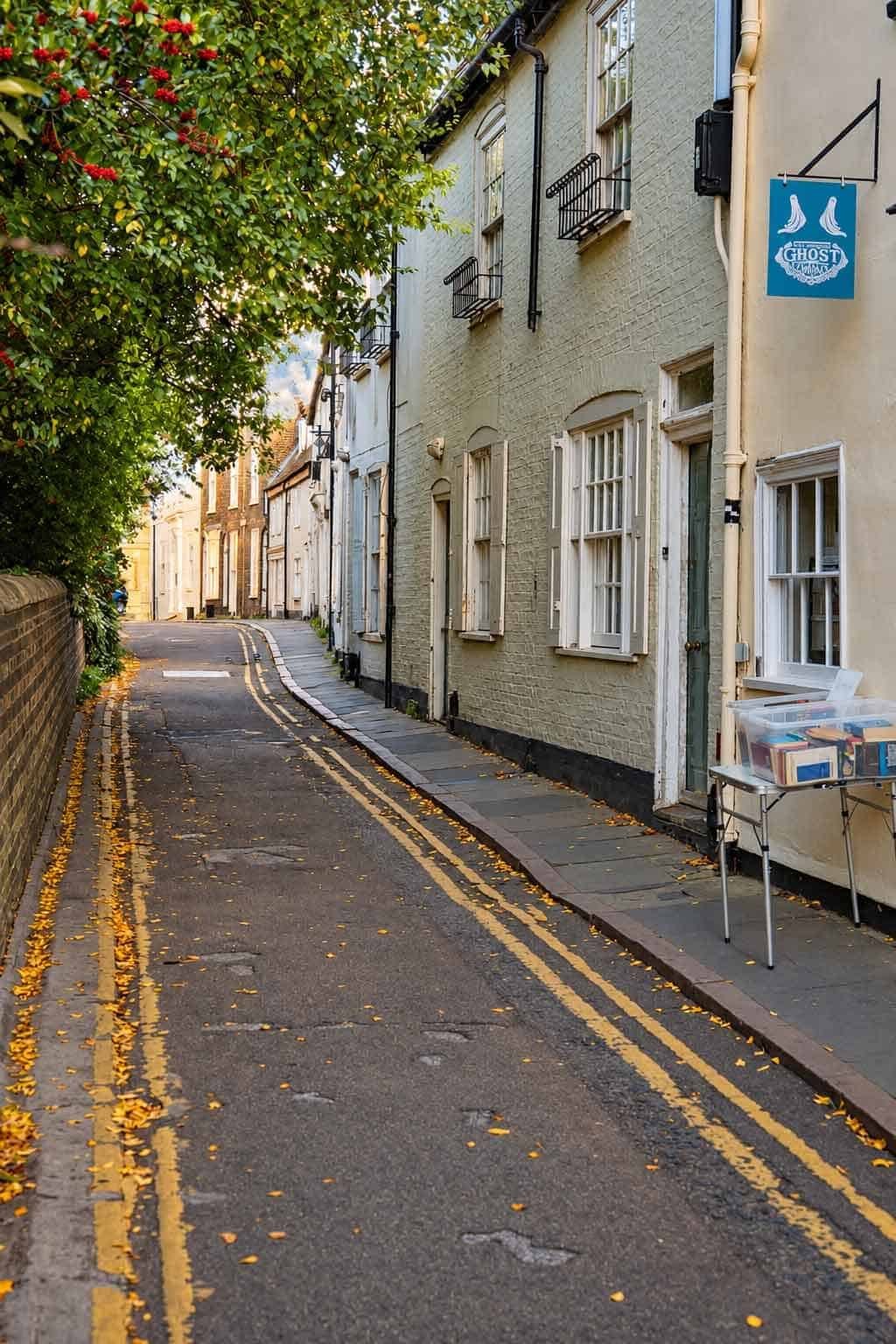 Botolph Lane, with leafy branches framing a curving Cambridge street