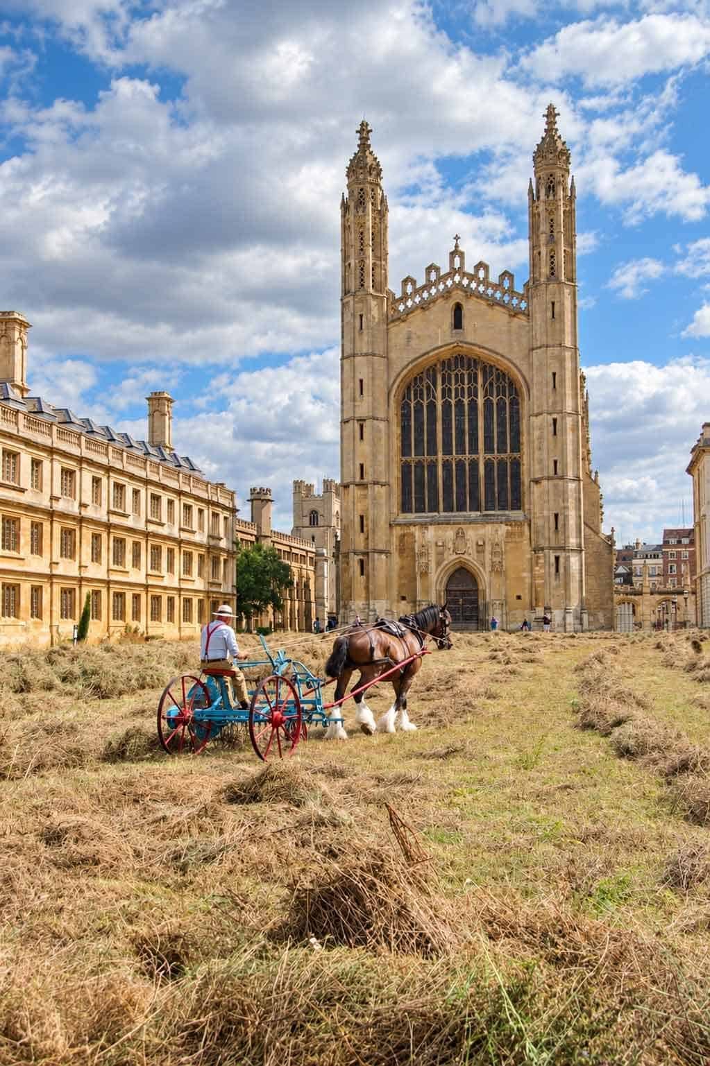 Portrait view of a horse and harvesting machine below the west window and towers of King’s College Chapel